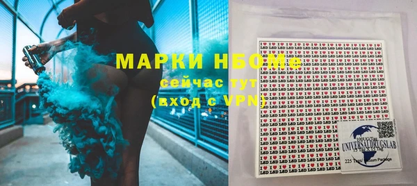 индика Аркадак