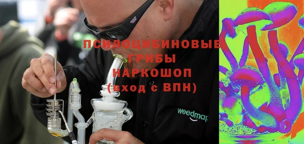 индика Аркадак